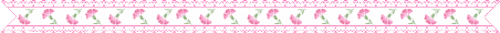 carnation_line.gif (404 bytes)