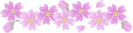 s_mapleline.gif (606 bytes)