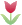 tulip1.gif
