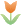 tulip1.gif