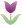 tulip1.gif